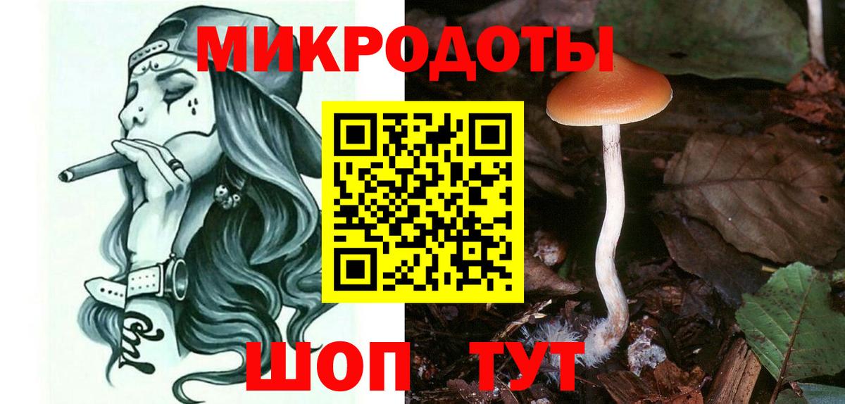 Псилоцибиновые грибы мицелий Острогожск