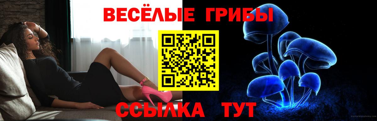 Острогожск  купить  сайты  Псилоцибиновые грибы мухоморы  Вход с VPN  Псилоцибиновые грибы Magic Shrooms 